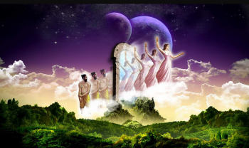 Tái Sinh và Đầu Thai